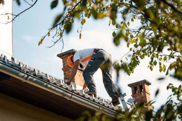 Best Residential Roof Replacement  in Wapello, IA
