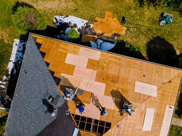 Best Roof Gutter Cleaning  in Wapello, IA