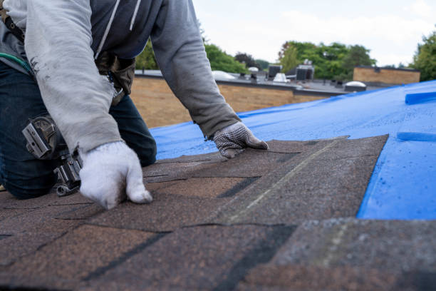 Best Roof Maintenance Services  in Wapello, IA