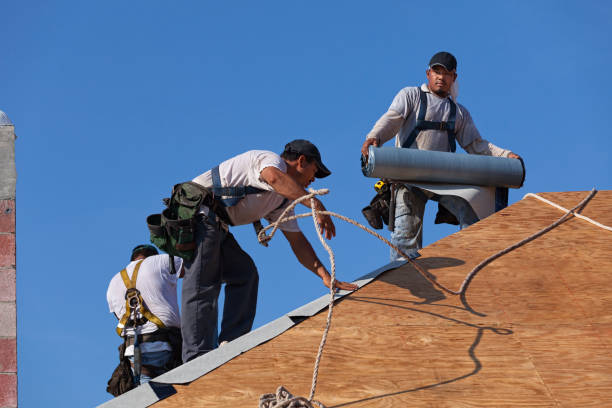 Roof Waterproofing Services in Wapello, IA