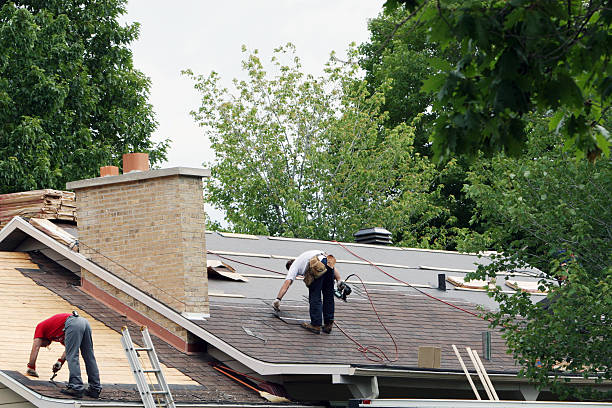 Best Storm Damage Roof Repair  in Wapello, IA