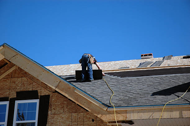 Best Roofing Contractors for Homes  in Wapello, IA
