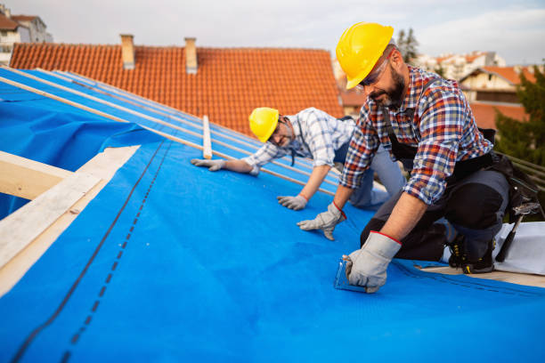 Best Residential Roofing Contractor  in Wapello, IA