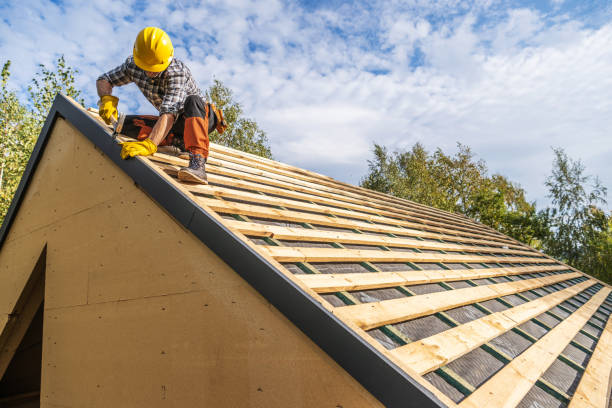 Best Gutter Installation and Roofing  in Wapello, IA