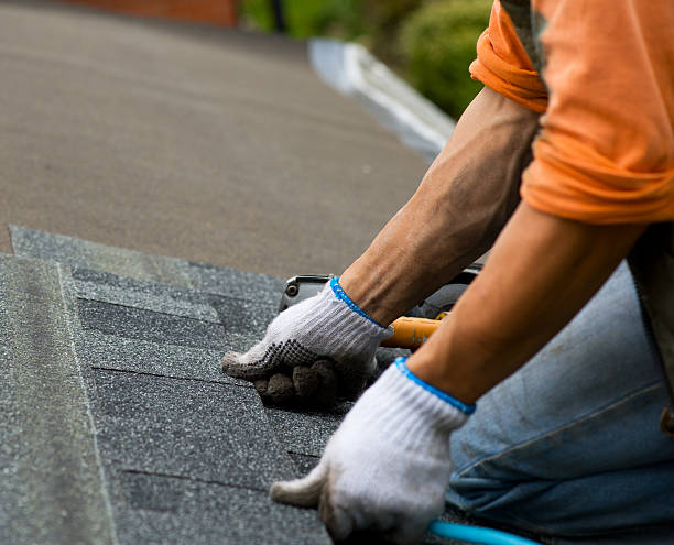Best Shingle Roofing Installation  in Wapello, IA
