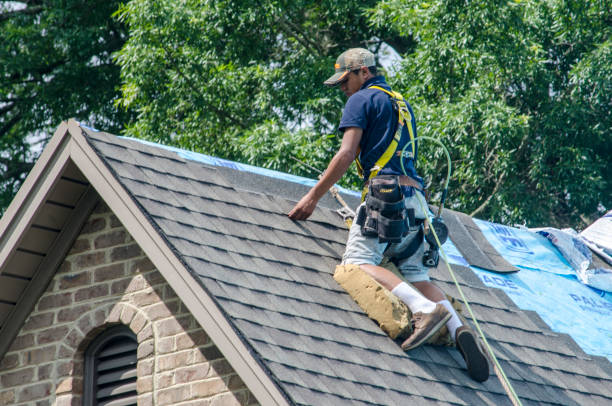 Best Affordable Roof Replacement  in Wapello, IA